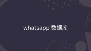 whatsapp 数据库